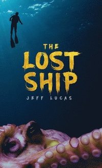 bokomslag The Lost Ship