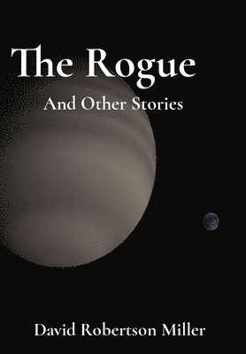 bokomslag Rogue