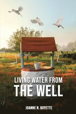 Living Water from the Well 1