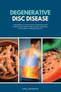 bokomslag Degenerative Disc Disease