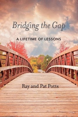 Bridging the Gap 1