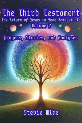 bokomslag Third Testament