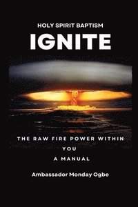 bokomslag Ignite the Raw Fire Power Within You - Holy Spirit Baptism Manual