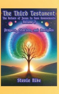bokomslag Third Testament