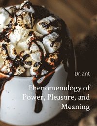 bokomslag Phenomenology of Power, Pleasure, and Meaning