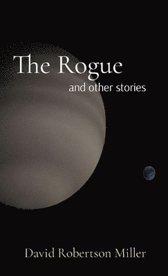 bokomslag Rogue