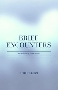 bokomslag Brief Encounters