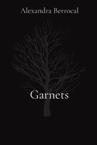 bokomslag Garnets