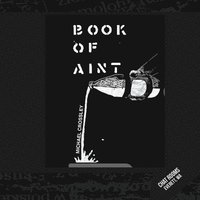 bokomslag The Book of Ain't