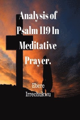 bokomslag Analysis of Psalm 119 In Meditative Prayer