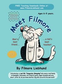 bokomslag Meet Filmore