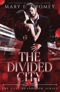 bokomslag Divided City