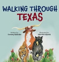 bokomslag Walking Through Texas