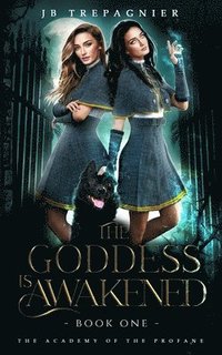 bokomslag Goddess is Awakened