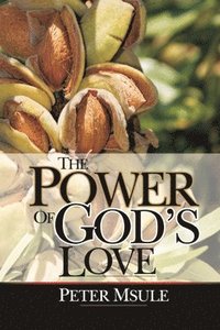 bokomslag The Power of God's Love