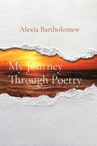 bokomslag My Journey Through Poetry