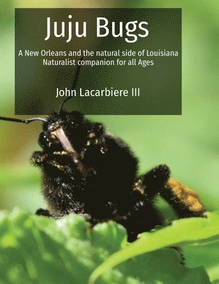 Juju Bugs 1