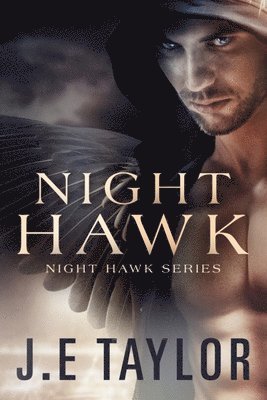 bokomslag Night Hawk