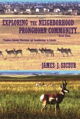 bokomslag Exploring the Neighborhood Pronghorn Community (Black & White)