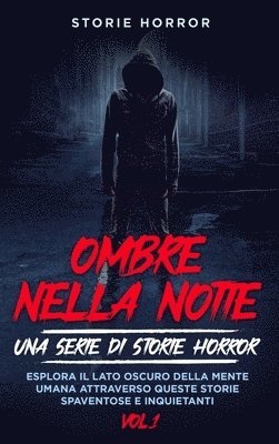 bokomslag Ombre nella notte