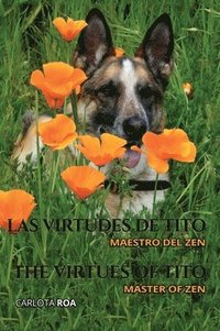 bokomslag Las virtudes de Tito