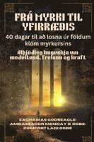 bokomslag FRÁ MYRKI TIL YFIRRÆ¿IS - 40 dagar til a¿ losna úr földum klóm myrkursins