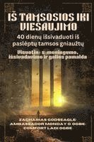 bokomslag I¿ TAMSOSIOS IKI VIE¿AUJIMO - 40 dien¿ i¿sivaduoti i¿ pasl¿pt¿ tamsos gniau¿t¿