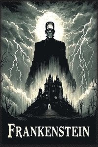 bokomslag Frankenstein
