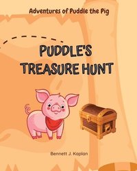 bokomslag Puddle's Treasure Hunt