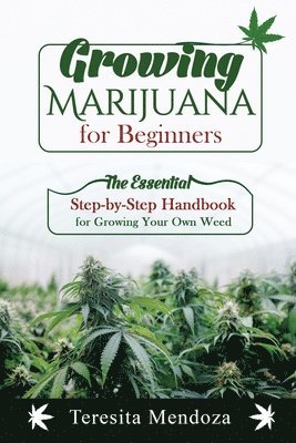 Growing Marijuana for Beginners 1