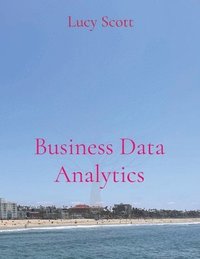 bokomslag Business Data Analytics