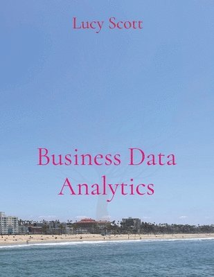 bokomslag Business Data Analytics