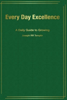 bokomslag Every Day Excellence