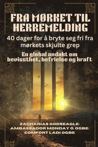 bokomslag FRA MØRKET TIL HERREMELDING - 40 dager for å bryte seg fri fra mørkets skjulte grep