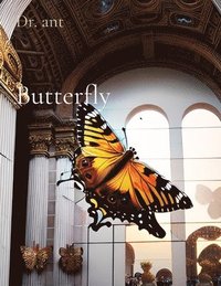 bokomslag Butterfly