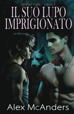 Alex McAnders - Suo Lupo Imprigionato, Häftad