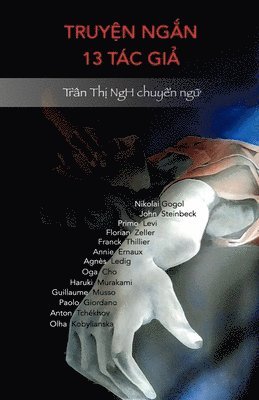 bokomslag Truy&#7879;n Ng&#7855;n 13 Tc Gi&#7843;