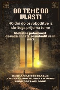 bokomslag OD TEME DO VLASTI - 40 dni do osvoboditve iz skritega prijema teme: Globalna poboznost ozaves?enosti, osvoboditve in mo?i