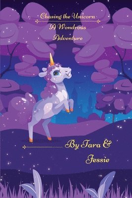 Chasing the Unicorn A Wondrous Adventure 1