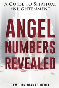 bokomslag Angel Numbers Revealed