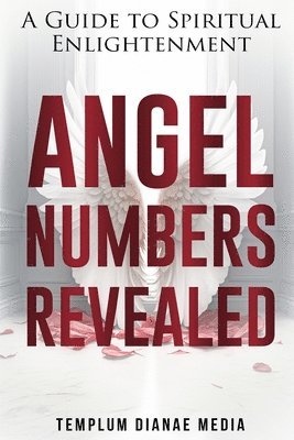 Angel Numbers Revealed 1