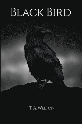 Black Bird