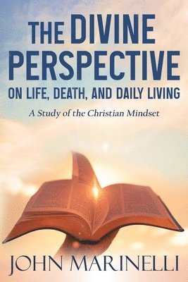 bokomslag Divine Perspective
