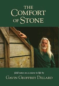 bokomslag The Comfort of Stone