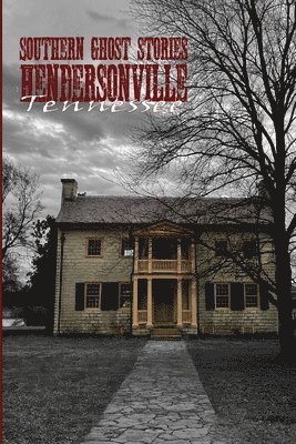 bokomslag Southern Ghost Stories