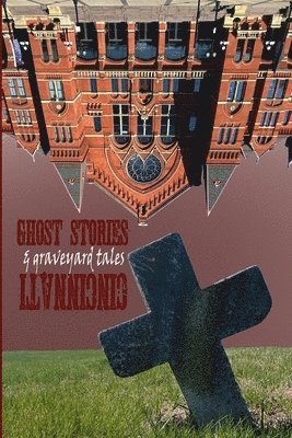 bokomslag Ghost Stories & Graveyard Tales