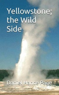 bokomslag Yellowstone; the Wild Side