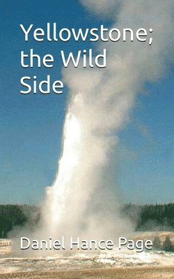 Yellowstone; the Wild Side 1