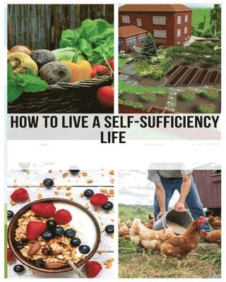bokomslag Mastering the Self-Sufficient Life