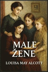 bokomslag Male zene